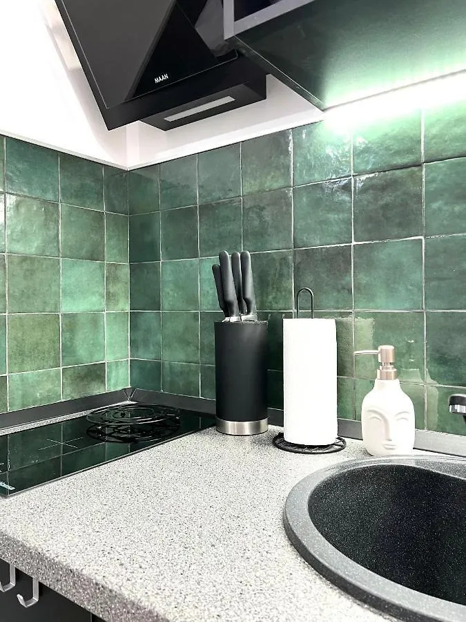 Green Spot - Premium Studio - Sanador Victoriei Bucharest 0*,
